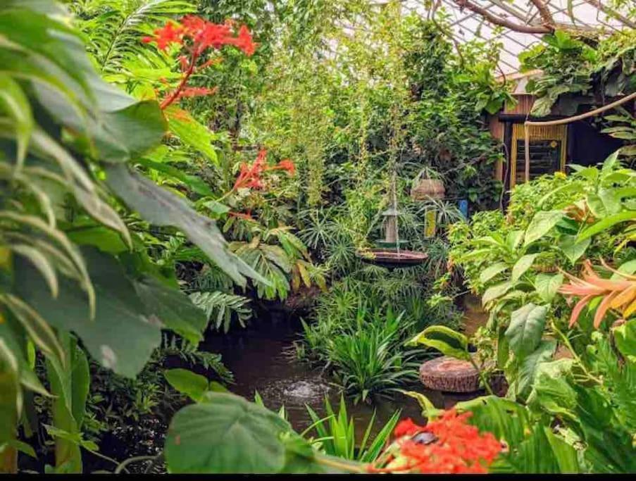 Hidden Gem !Stunning 3 Bedroom Home In Sheffield Handsworth Buitenkant foto